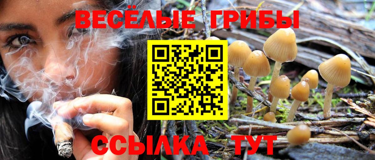 Тула  Псилоцибиновые грибы GOLDEN TEACHER  Вход с VPN 