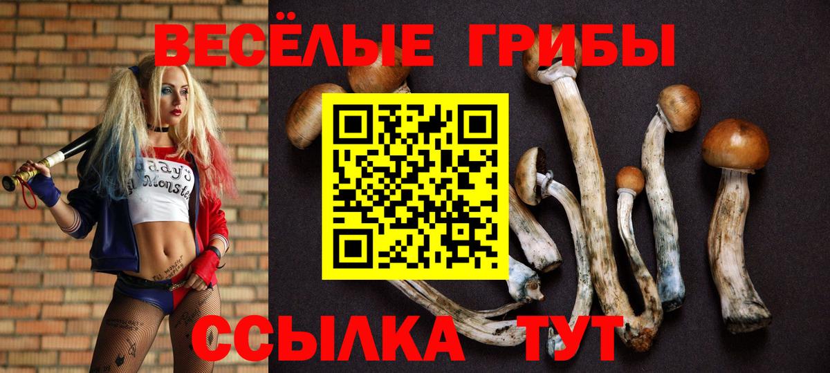 Галлюциногенные грибы Cubensis Тула